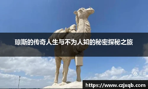 球速体育官方网站