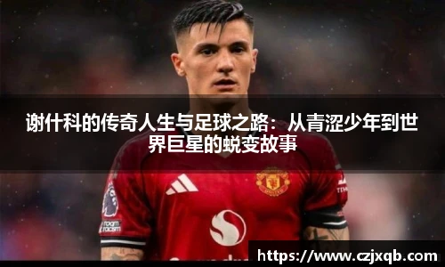 球速体育网址
